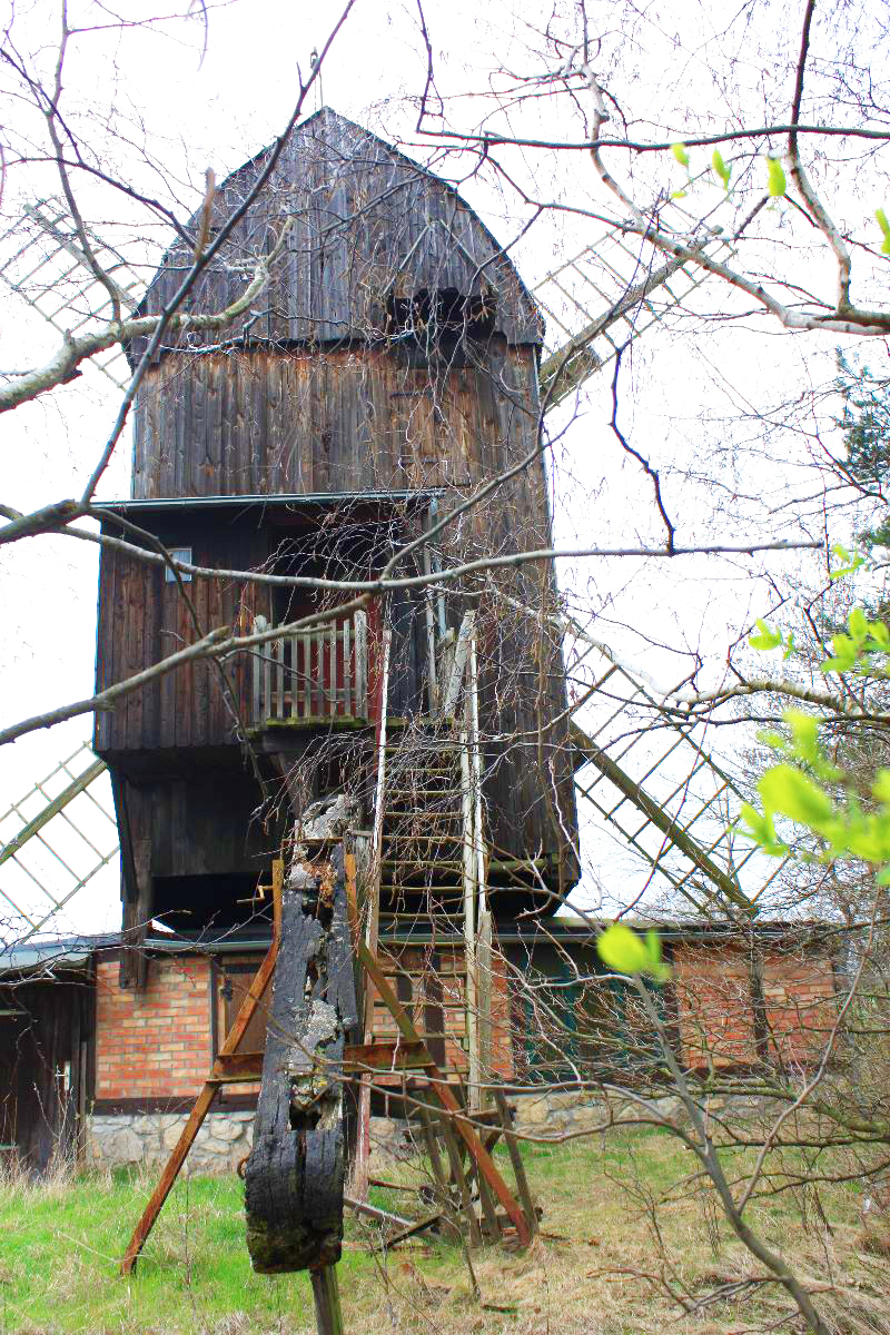 Bockwindmühle Sargstedt eig. Foto